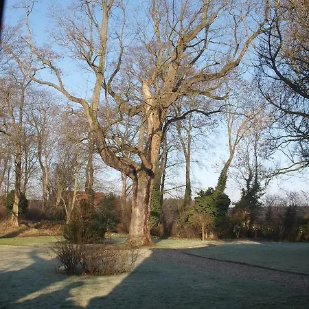Bed & Breakfast Buitenplaats