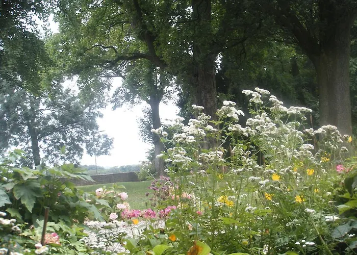 Frühstückspension Buitenplaats
