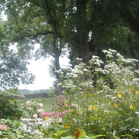 Bed & Breakfast Buitenplaats